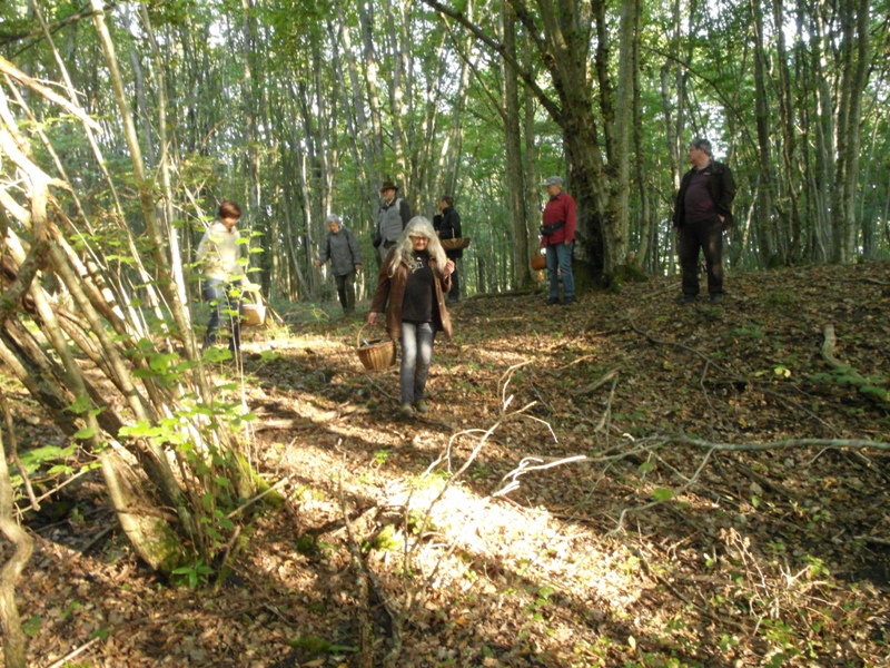 2012 0916 EtgOr gr ev